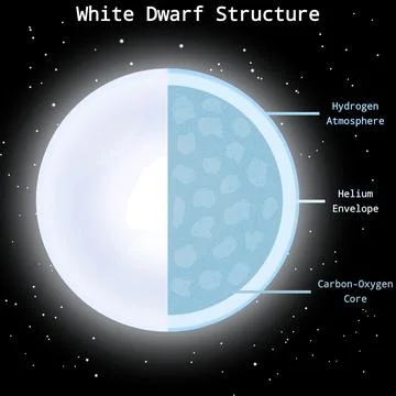 White Dwarf Internal Structure Infographic Stock Illustration