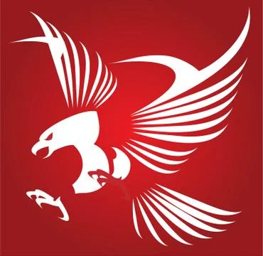 White eagle , Falcon. Hawk. predator. Stock Illustration