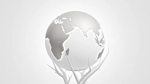 White Earth globe was surrounded by white branches. Minimal idea concept.  Stock Footage 302874686