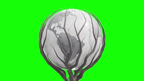 White Earth globe was surrounded by branches on green screen. Video stock 302875426