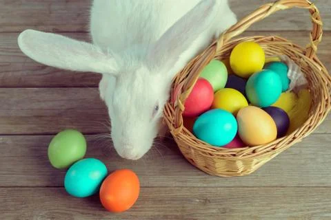 White Easter bunny with basket Stock Photos