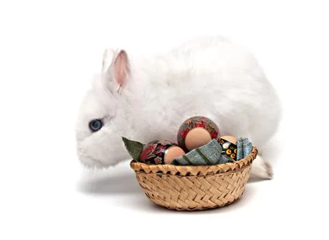 White easter bunny Stock Photos