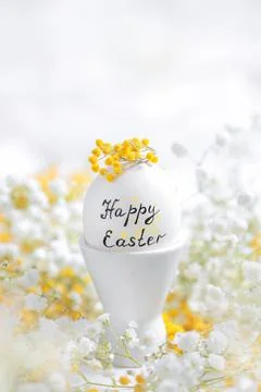 White Easter egg among white and yellow flowers. plaster and mimosa. Stock Photos
