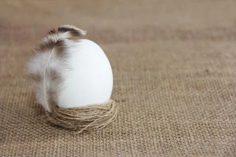 White easter egg and bird feather Stock Photos