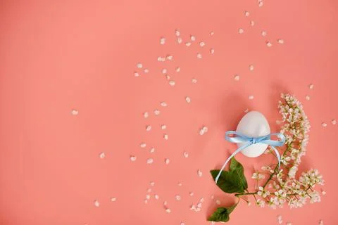 White Easter egg with a blue ribbon, cherry branches, flowers, petals on a Stock Photos