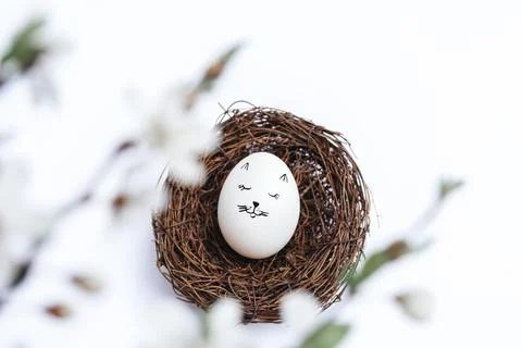 White Easter egg in the nest Foto stock
