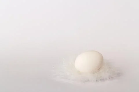 White easter egg, white feathers, white background with copy space for text.. Stock Photos