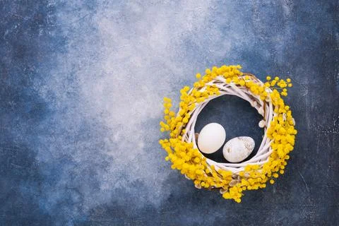 White Easter eggs and mimosa wreath on a blue background. Top view, copy spac Stock-Fotos
