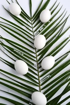 White easter eggs and palm branch on a white background Stock Photos