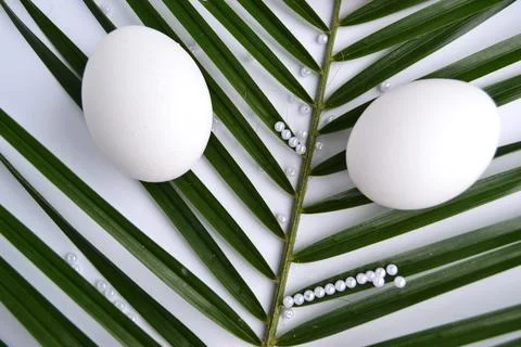 White easter eggs and palm branch on a white background Stock Photos