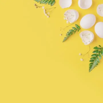 White Easter eggs and shells on a bright yellow background. Stock Photos