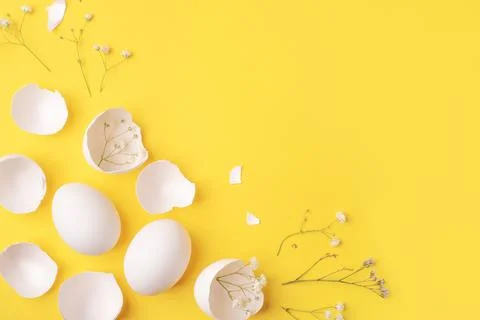 White Easter eggs and shells on a bright yellow background. Stock Photos