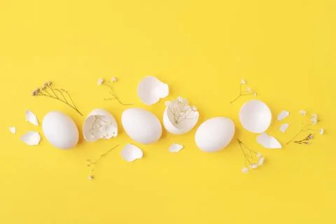 White Easter eggs and shells on a bright yellow background. Stock Photos