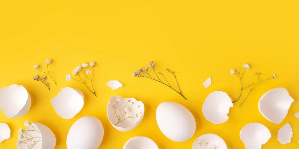White Easter eggs and shells on a bright yellow background. Stock Photos