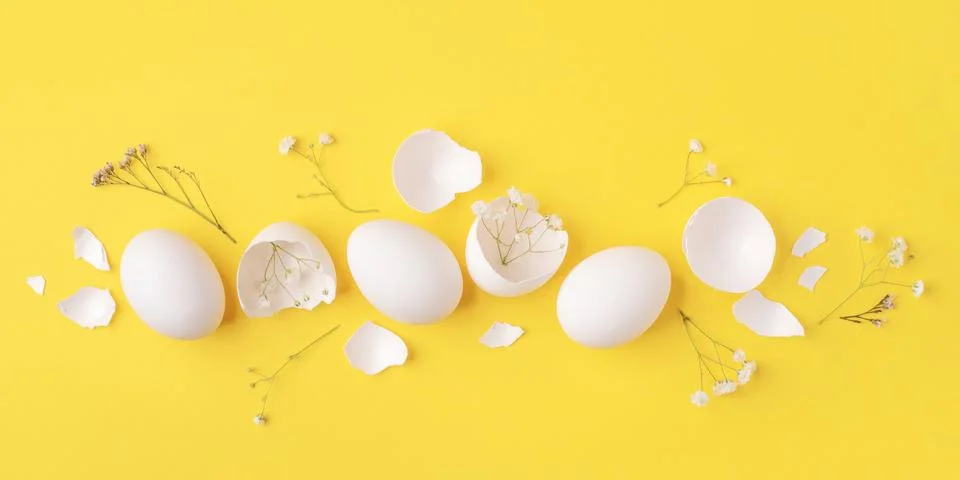 White Easter eggs and shells on a bright yellow background. Stock Photos