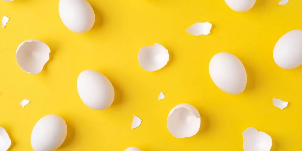 White Easter eggs and shells on a bright yellow background. Stock Photos