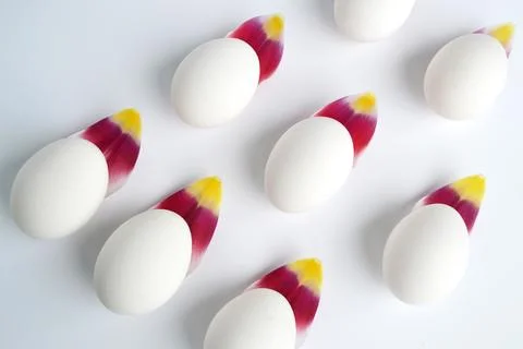 White Easter eggs and tulip petals on a white background. Stock Photos