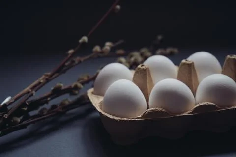 White easter eggs in carton box and willow branches isolated on black background Stock Photos