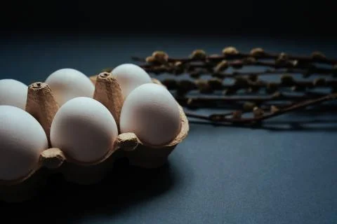 White easter eggs in carton box and willow branches isolated on black background Stock Photos