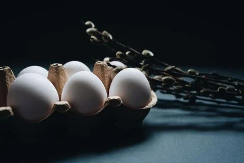 White easter eggs in carton box and willow branches isolated on black background Stock Photos