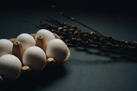 White easter eggs in carton box and willow branches isolated on black background Stock Photos