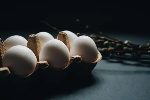 White easter eggs in carton box and willow branches isolated on black background Stock Photos