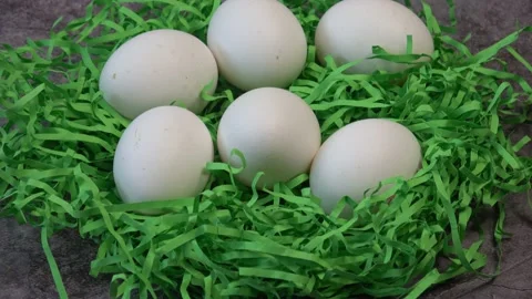 White easter eggs in nest. Happy Easter. Stock Footage 169003893