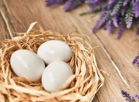 White Easter eggs in the nest. Happy Easter Concept. Congratulations Easter card 스톡 사진