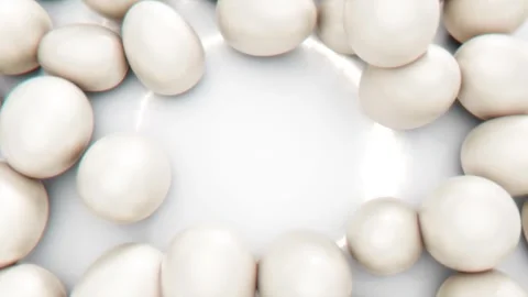 White Easter Greetings Background Stock Footage 269305258