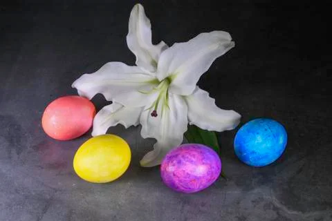 White Easter lily with four colored Easter Eggs Stock Photos