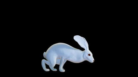 White Easter rabbit running, Easter egg hunting concept, loop, against black Stock Footage 297856120