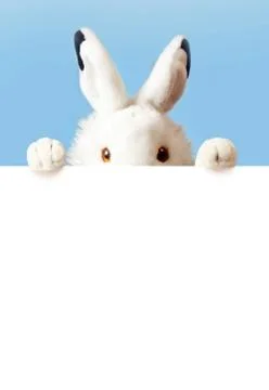 White easter rabbit with sheet for a text writing. Easter concept. Easter bun Stock Photos