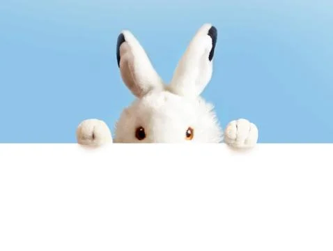 White easter rabbit with sheet for a text writing. Easter concept. Easter bun Stock Photos