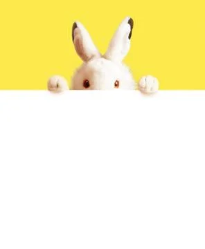 White easter rabbit with sheet for a text writing. Easter concept. Stock Photos