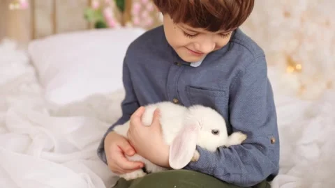 White Easter rabbit sits on the hands of a little boy, who huggs the rabbit Stock Footage 263922542