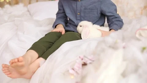 White Easter rabbit sits on the hands of a little boy, who huggs the rabbit Stock Footage 265032239