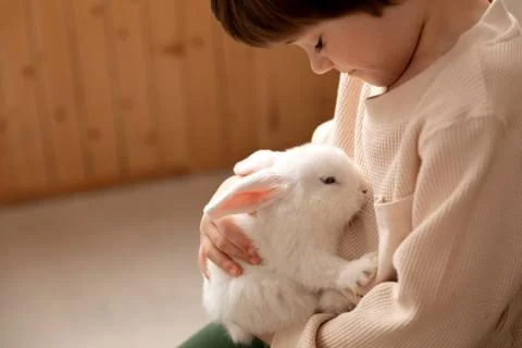 White Easter rabbit sits on the hands of a little boy, who huggs the rabbit Stock Photos