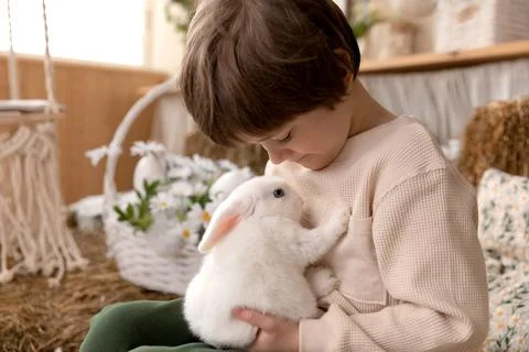White Easter rabbit sits on the hands of a little boy, who huggs the rabbit Stock Photos