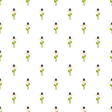 White echinacea flower doodle pattern background 스톡 일러스트