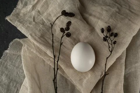 White egg and alder branches with cones on a beige fabric Stock Photos