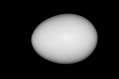 White Egg On Black Background Stock Illustration