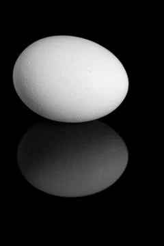 White egg on a black background Stock Photos