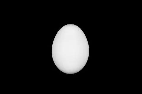 White egg on a black background Stock Photos