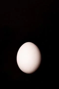White egg on black background. Stock Photos
