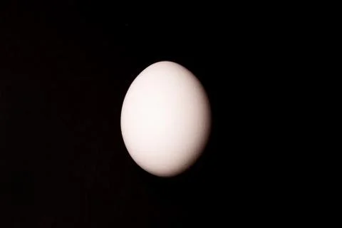 White egg on black background. Stock Photos