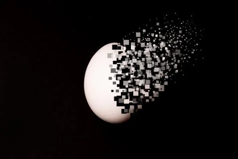 White egg on black background. Stock Photos
