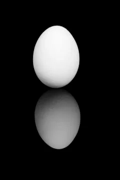 White egg on black Stock Photos
