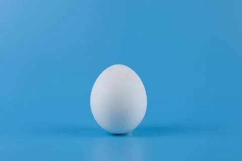 White egg  on a blue background. Stock Photos