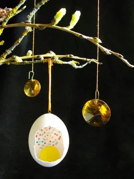 White egg on a branch. Stock Photos