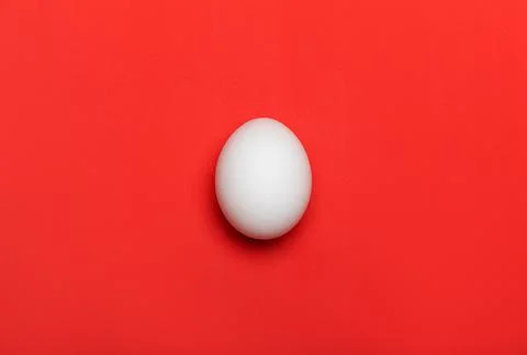 White egg on bright red background. Close-up macro flatlay, with texture. Foo 스톡 사진